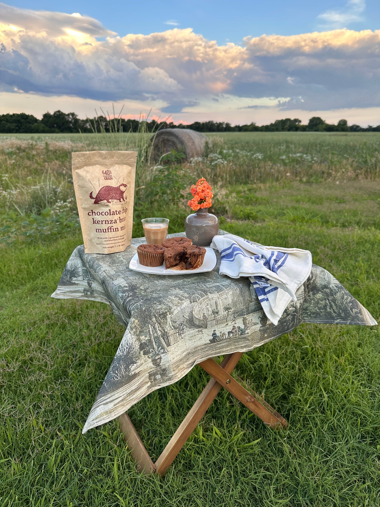 Kernza® Bran Muffin Mix With Chocolate Chips