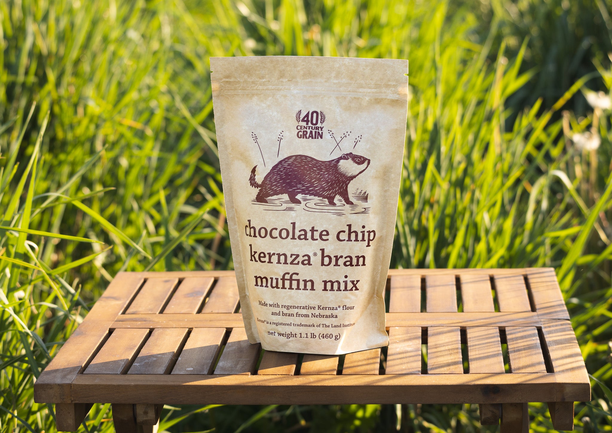 Kernza® Bran Muffin Mix With Chocolate Chips – 40 Century Grain