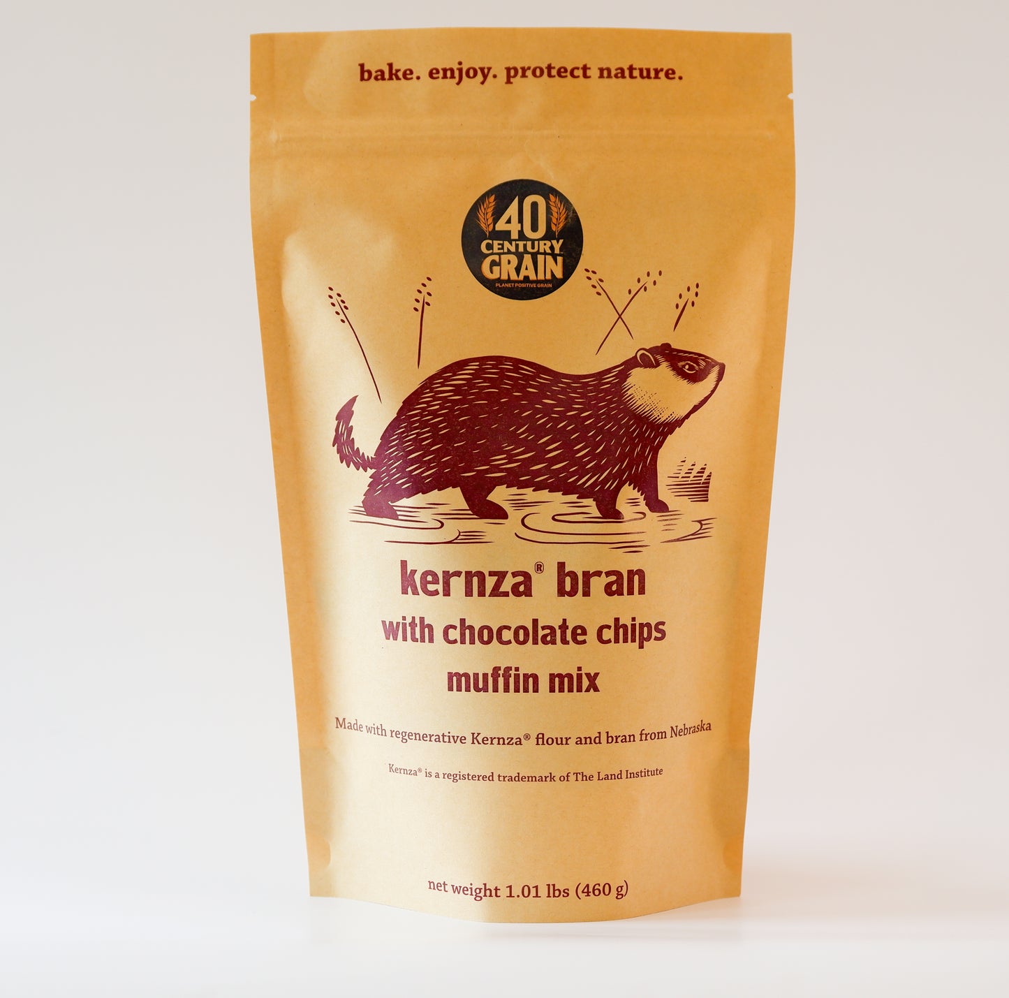 Kernza® bran muffin mix with chocolate chips